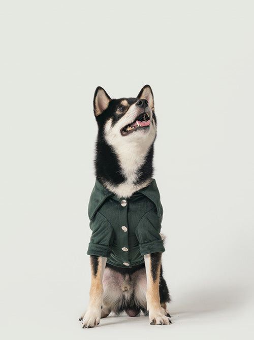 Pehom | Stainway Shirt - Green