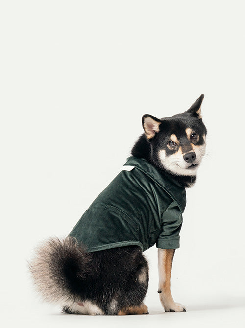 Pehom | Stainway Shirt - Green