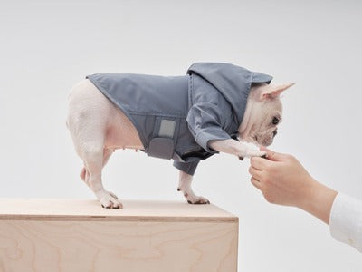 Pehom | Tribeca Adjustable Velcro Raincoat - Light Blue