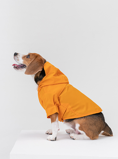 Pehom | Tribeca Adjustable Velcro Raincoat - Egg Yolk