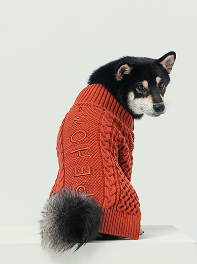 Pehom | Bert Cardigan Sweater - Orange