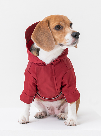 Pehom | Tribeca Adjustable Velcro Raincoat -  Burgundy