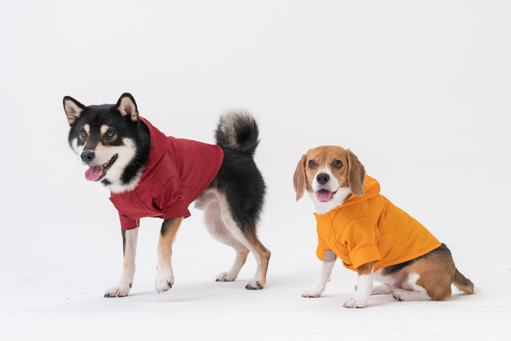 Pehom | Tribeca Adjustable Velcro Raincoat -  Burgundy