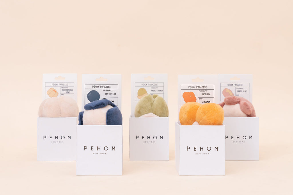 Pehom | Paradise Pet Toy - Anemone