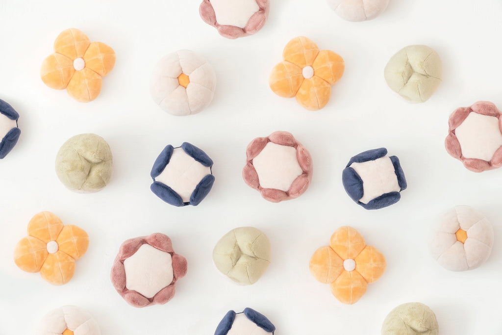 Pehom | Paradise Pet Toy - Anemone
