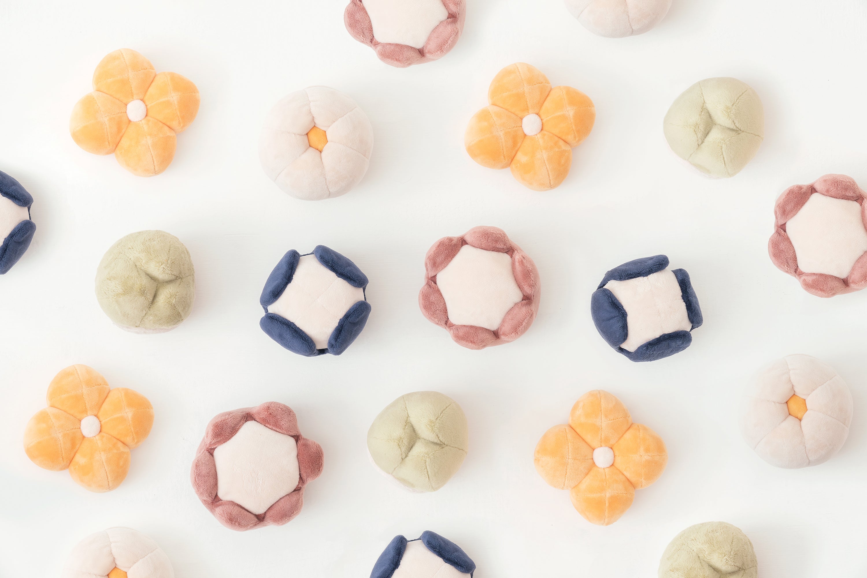 Pehom | Paradise Pet Toy - Anemone