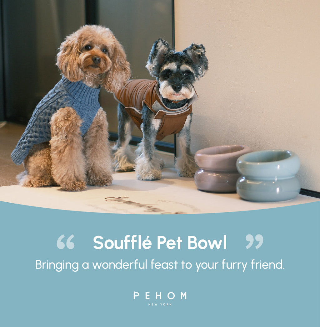 Pehom | Soufflé Pet Bowl - Frozen Blue