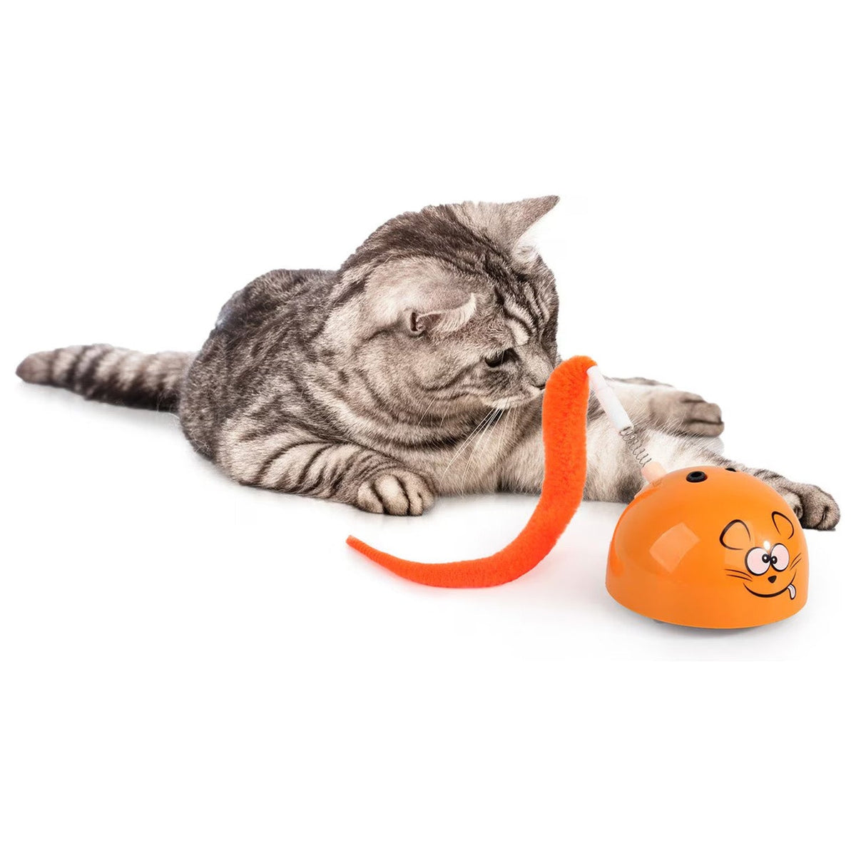 Modern Cat - Mad Mouse Cat Toy