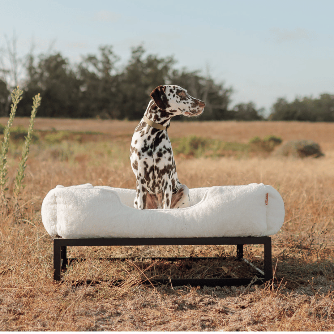 The FÜZI Pet Bed