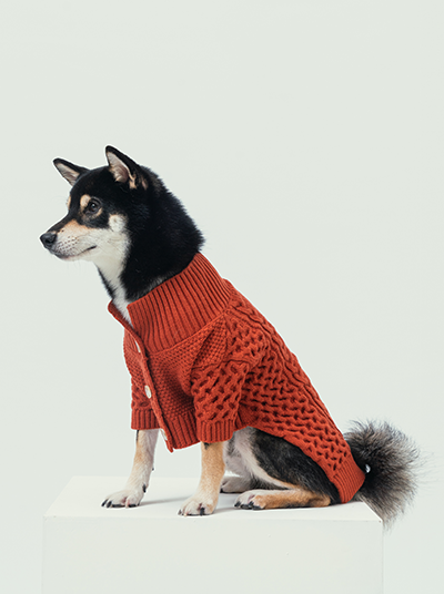 Pehom | Bert Cardigan Sweater - Orange