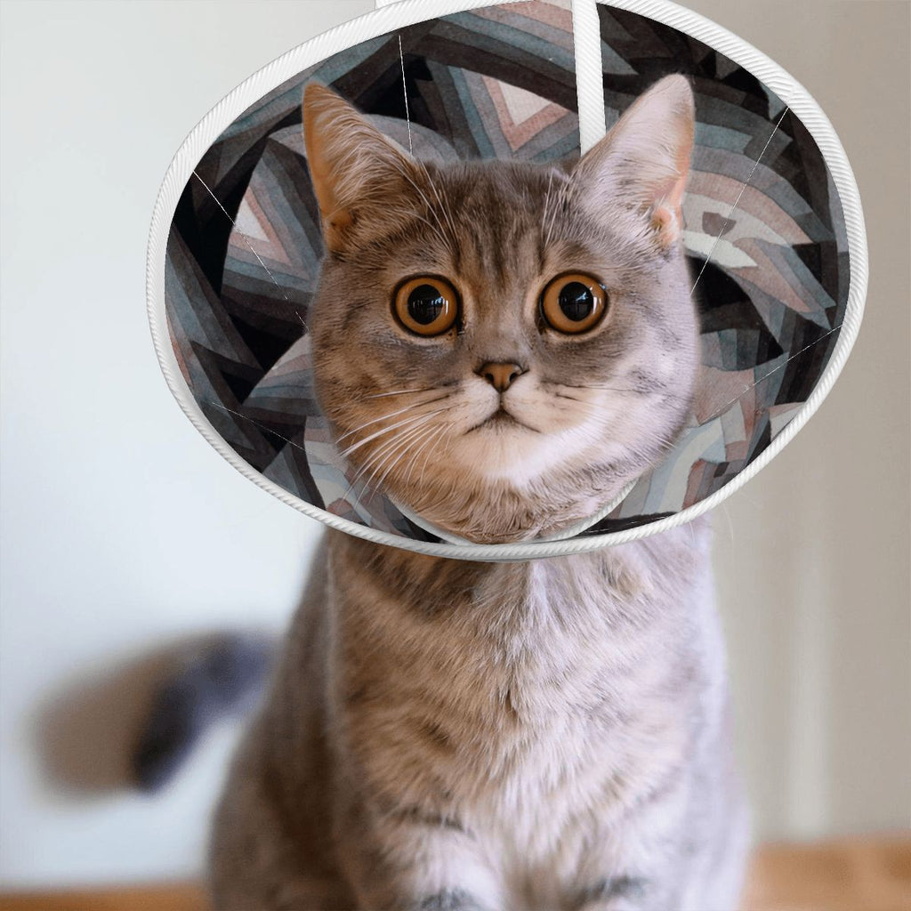 Sebastian & Clementine Crystal Gradation Pet Elizabethan Collar