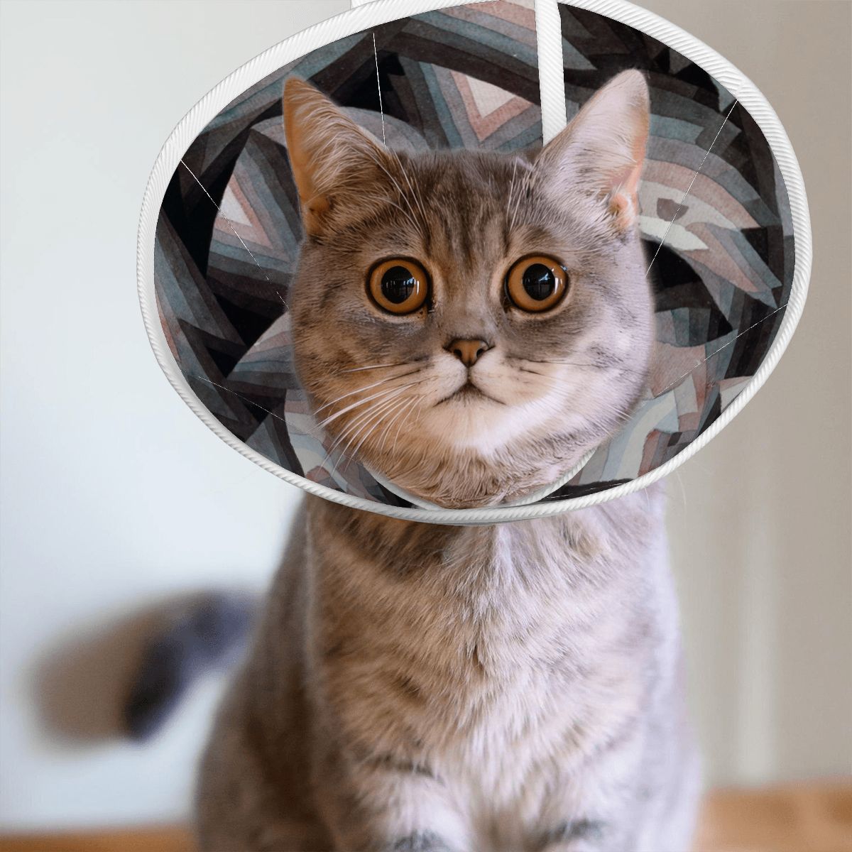 Sebastian & Clementine Crystal Gradation Pet Elizabethan Collar