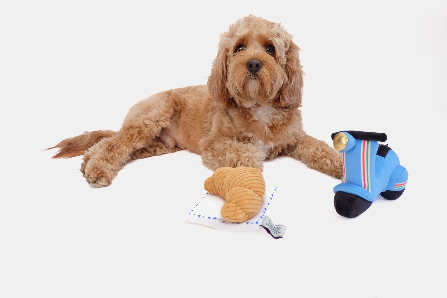 Come Here Buddy Scooter Pet Plush Toy