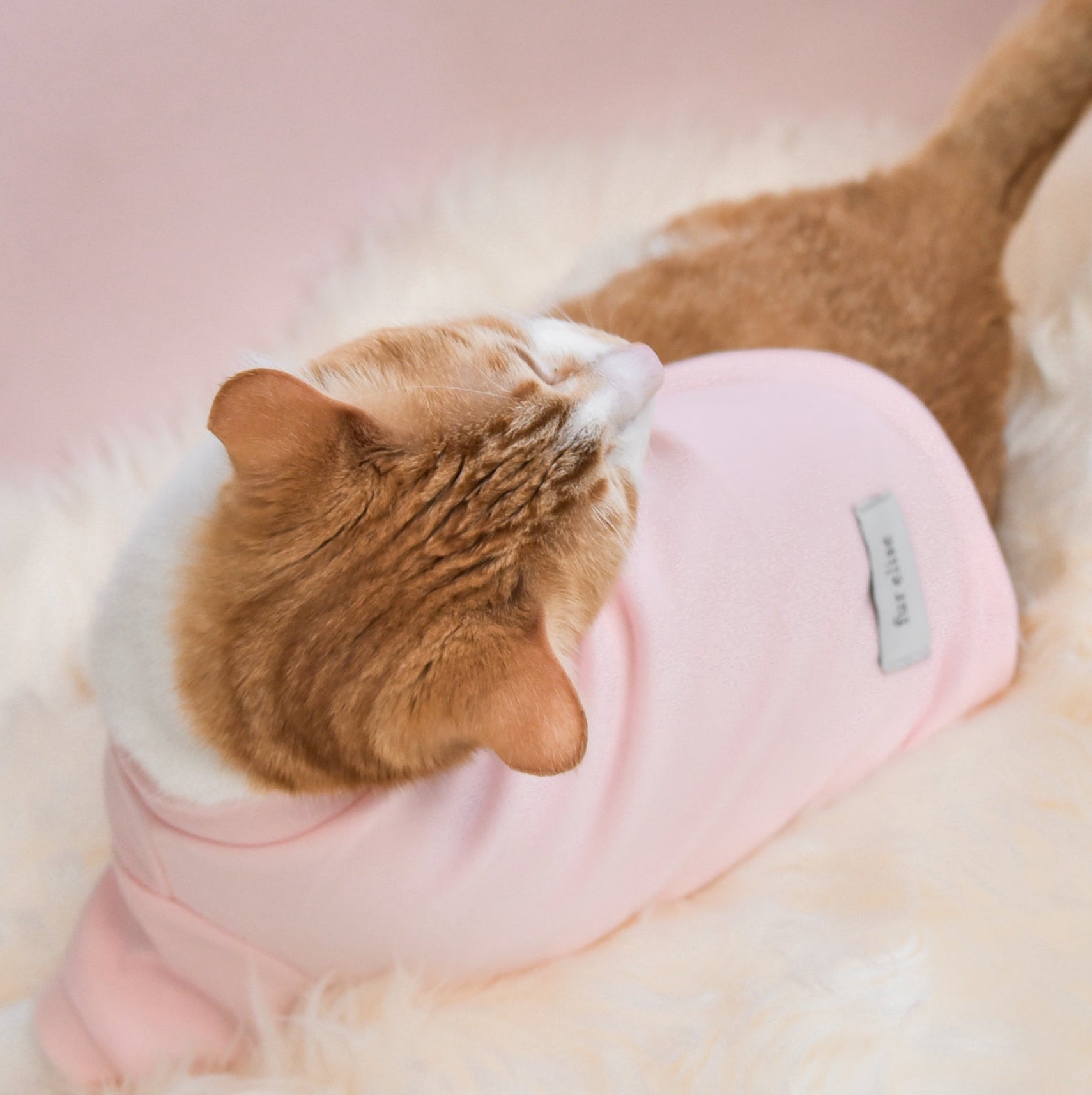 Fur Elise Mock Neck Shirt - Blush