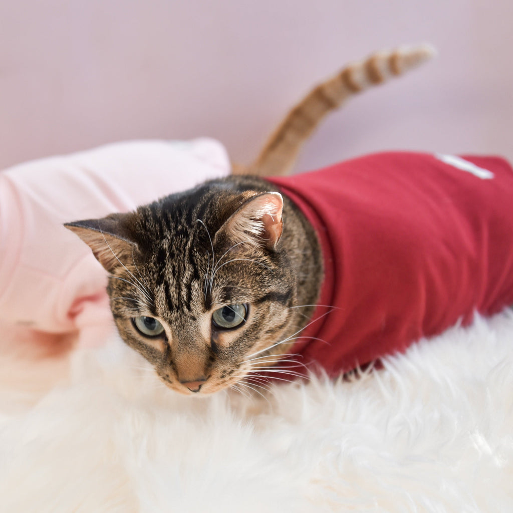 Fur Elise Mock Neck Shirt - Lucky