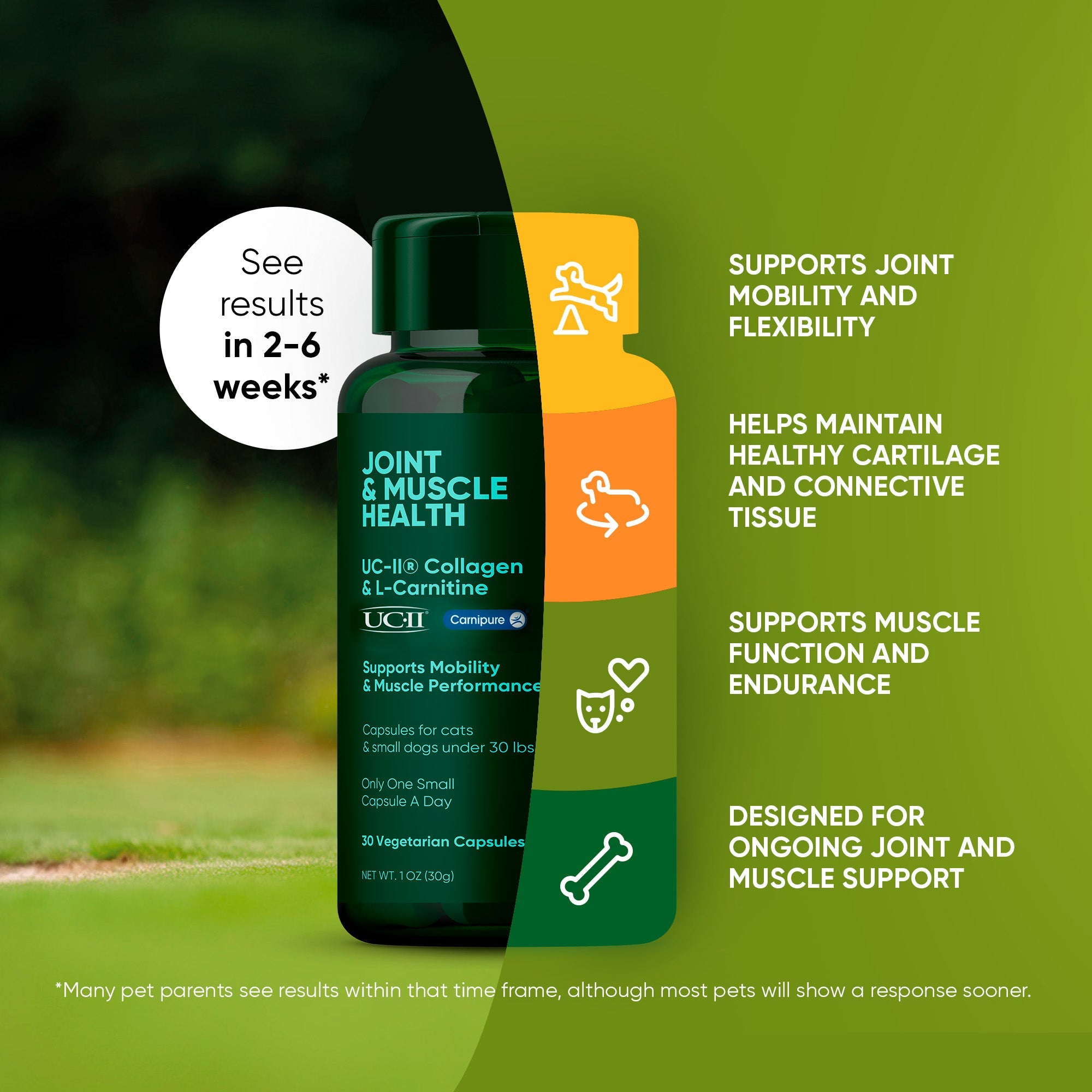 Rooted Owl® Joint & Muscle Health (Cats & Small Dogs)