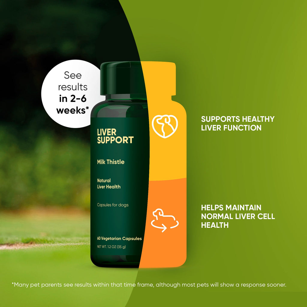 Rooted Owl® Liver Support