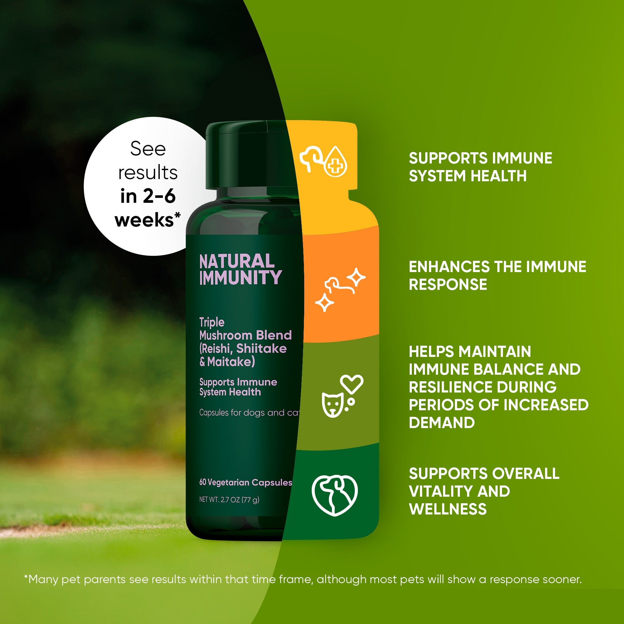 Rooted Owl® Mushroom Immune Support