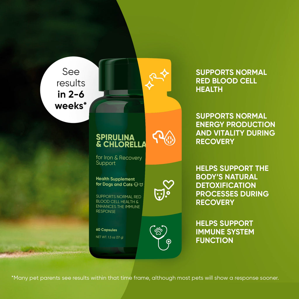Rooted Owl® Spirulina & Chlorella