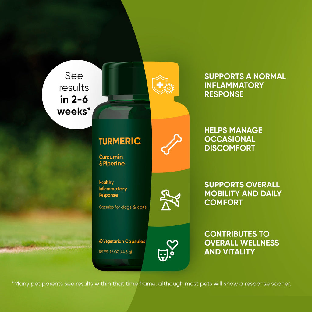 Rooted Owl® Turmeric