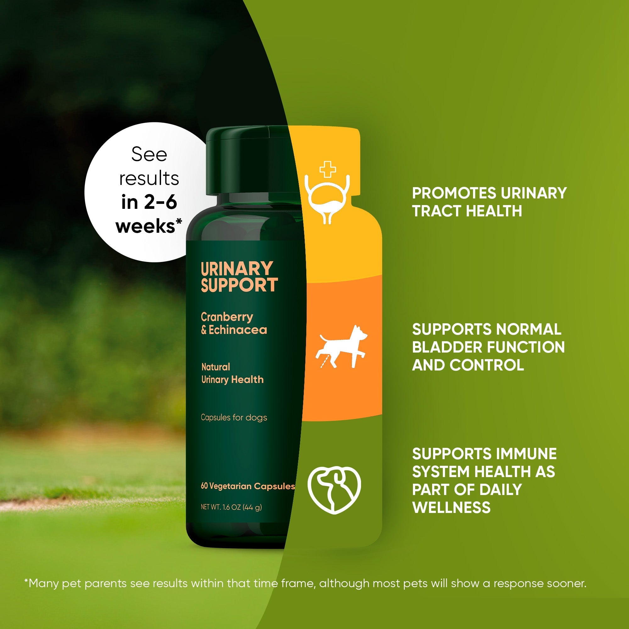 Rooted Owl® Urinary Support