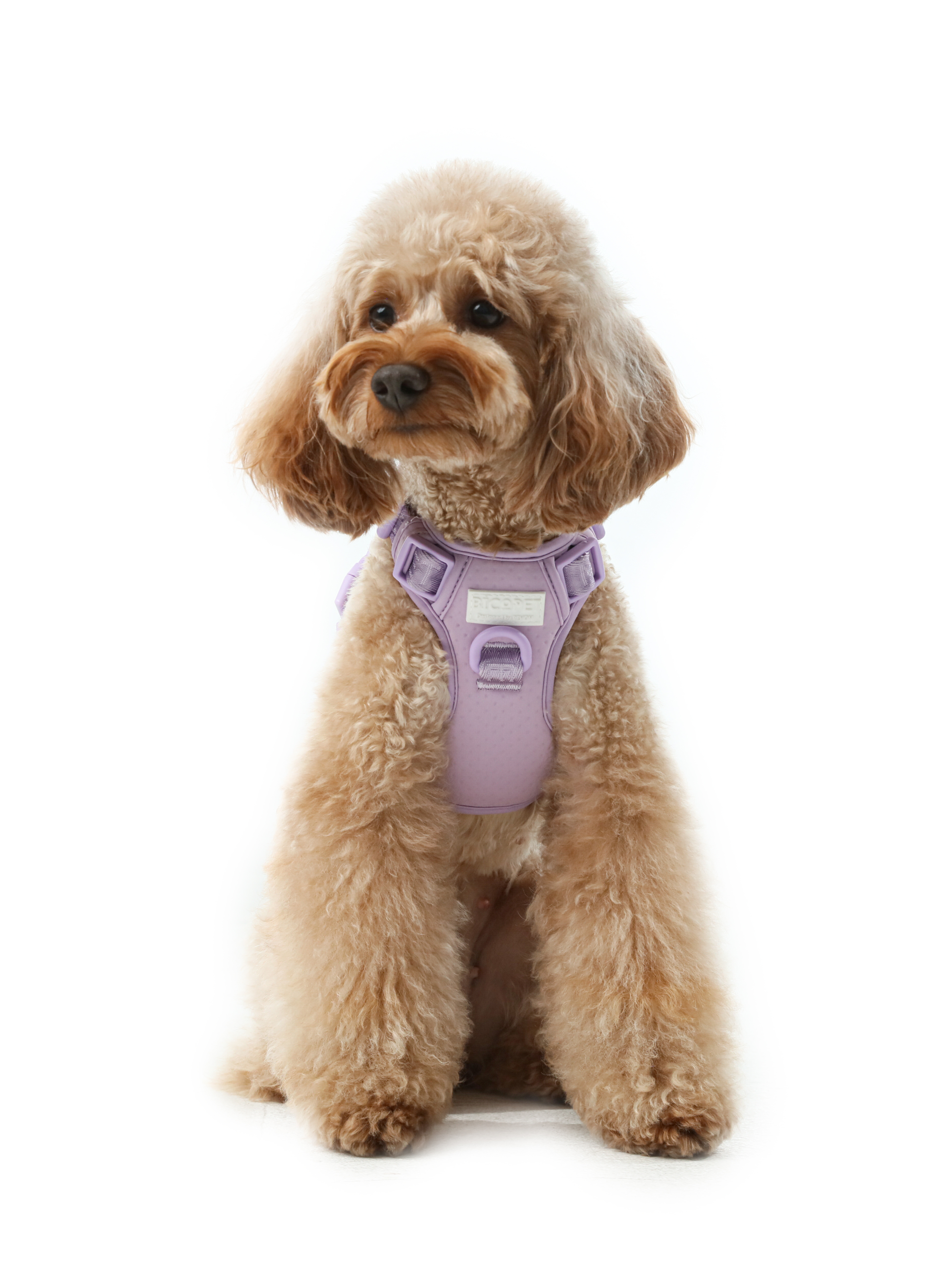 Pehom | No Pull Active Pet Harness - Mint Purple