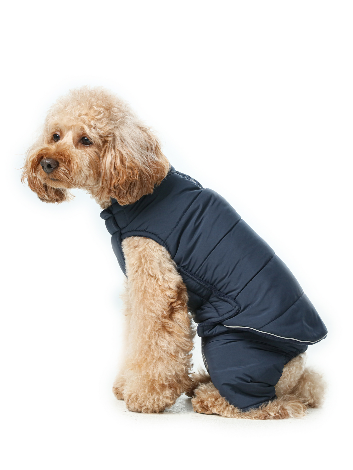 Pehom | Reversible Dog Vest Jacket - Blue