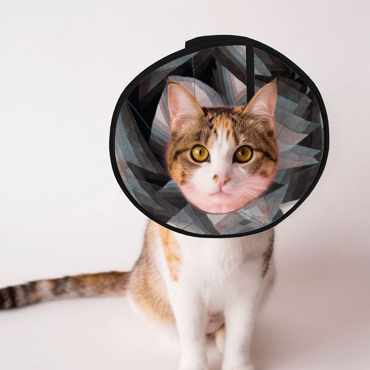 Sebastian & Clementine Crystal Gradation Pet Elizabethan Collar