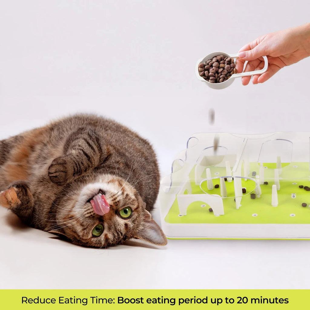 Puzzle Cat Slow Feeder Treat Maze
