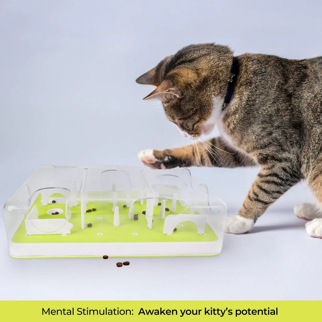 Puzzle Cat Slow Feeder Treat Maze