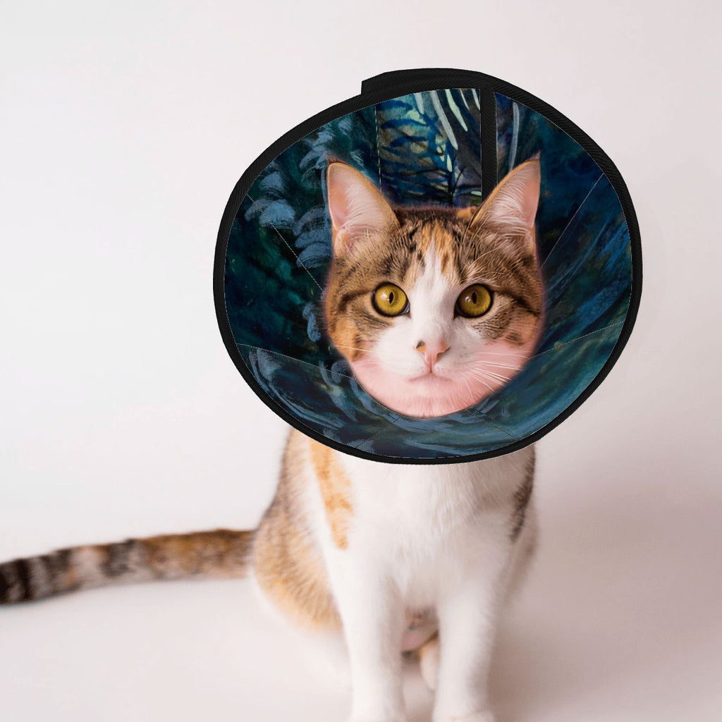 Sebastian & Clementine After-Glow Pet Elizabethan Collar