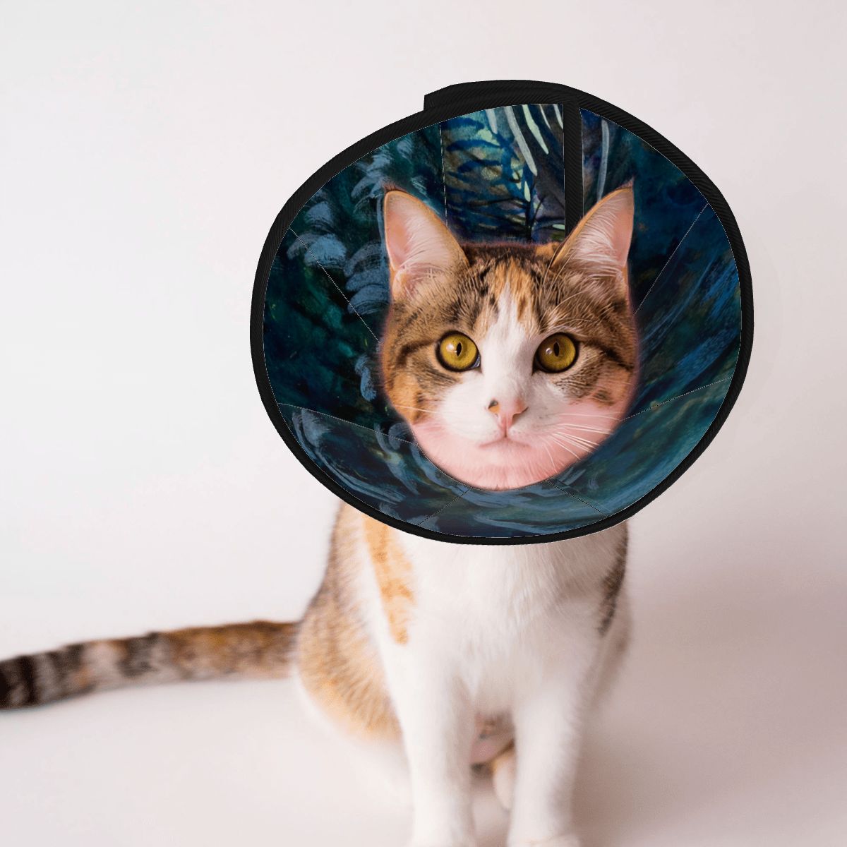 Sebastian & Clementine After-Glow Pet Elizabethan Collar