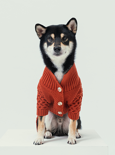 Pehom | Bert Cardigan Sweater - Orange
