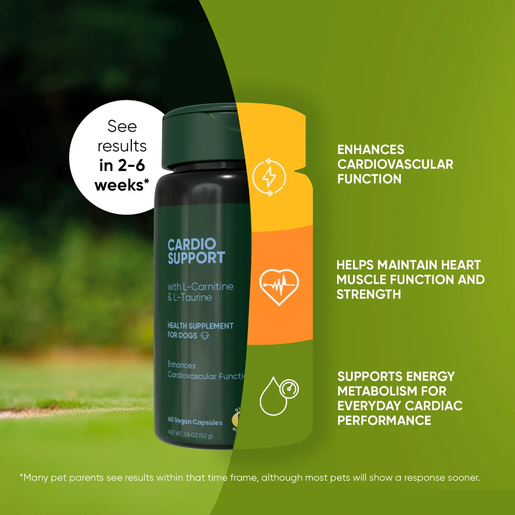 Rooted Owl® Cardio Support