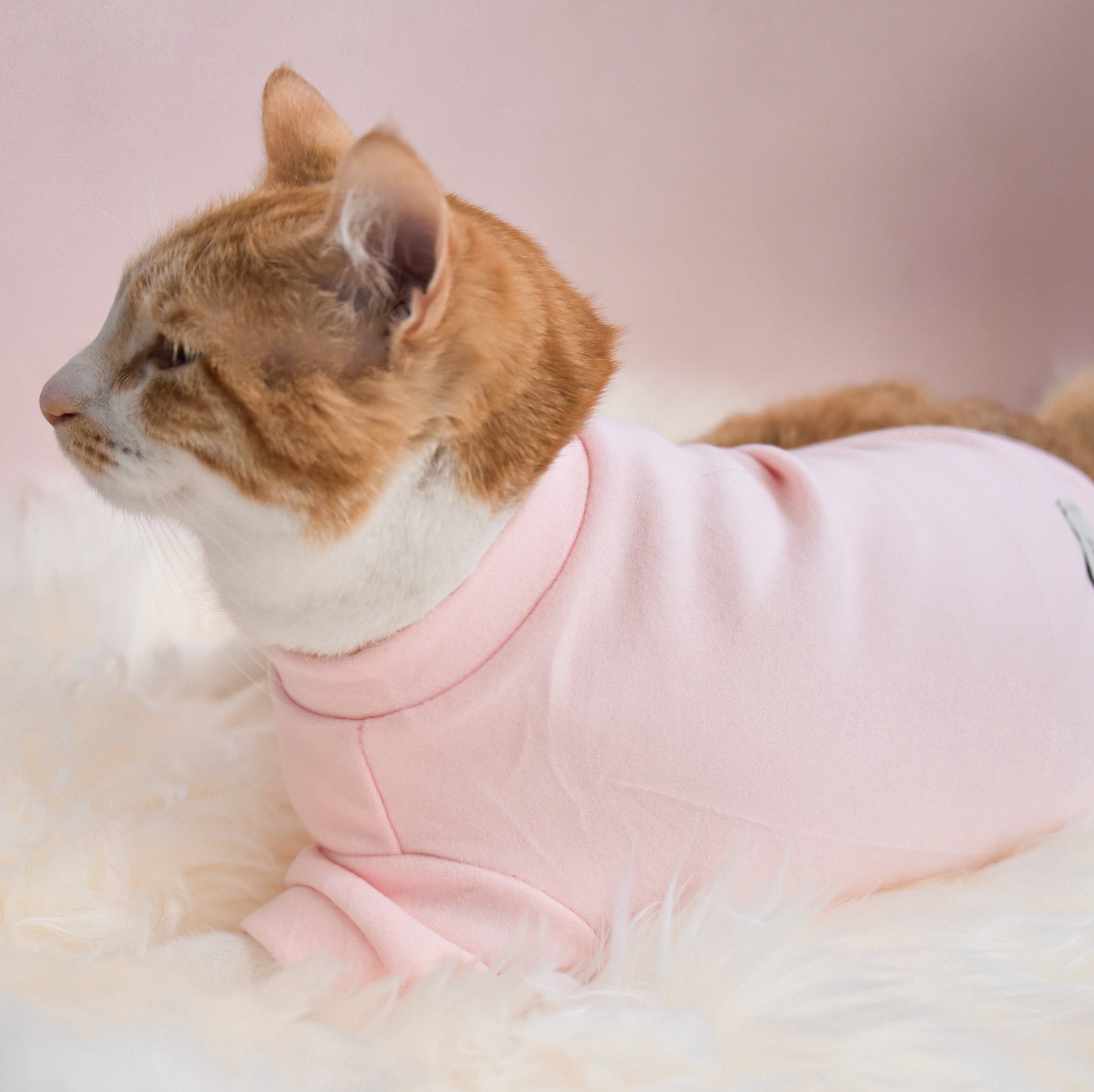 Fur Elise Mock Neck Shirt - Blush