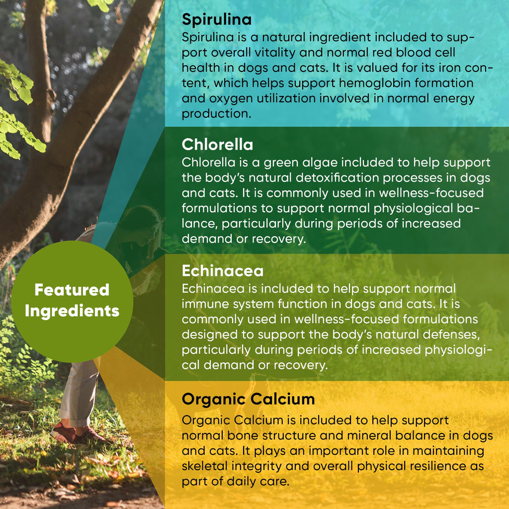 Rooted Owl® Spirulina & Chlorella