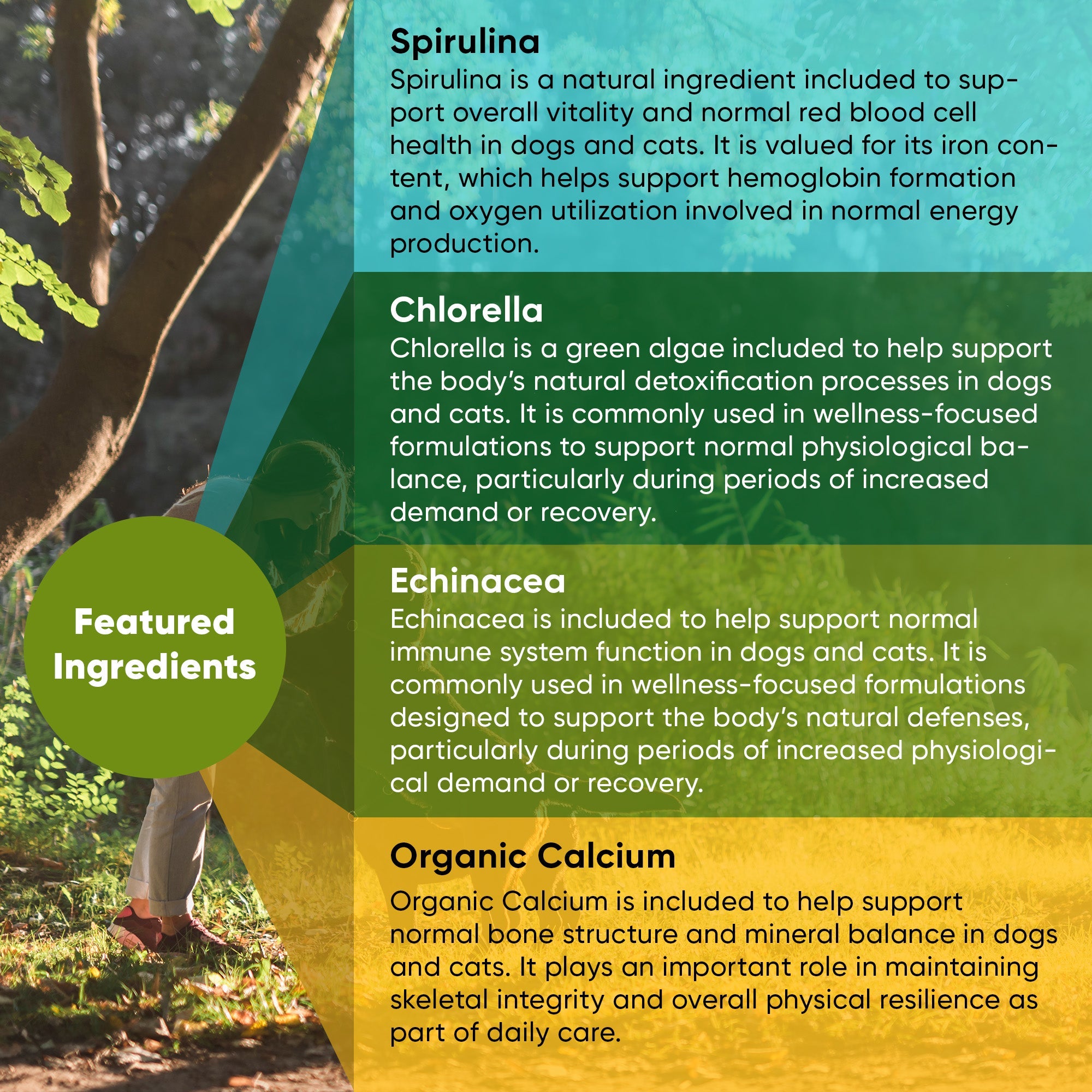 Rooted Owl® Spirulina & Chlorella
