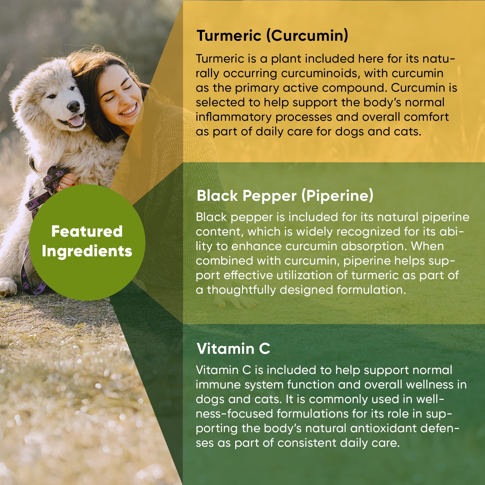 Rooted Owl® Turmeric