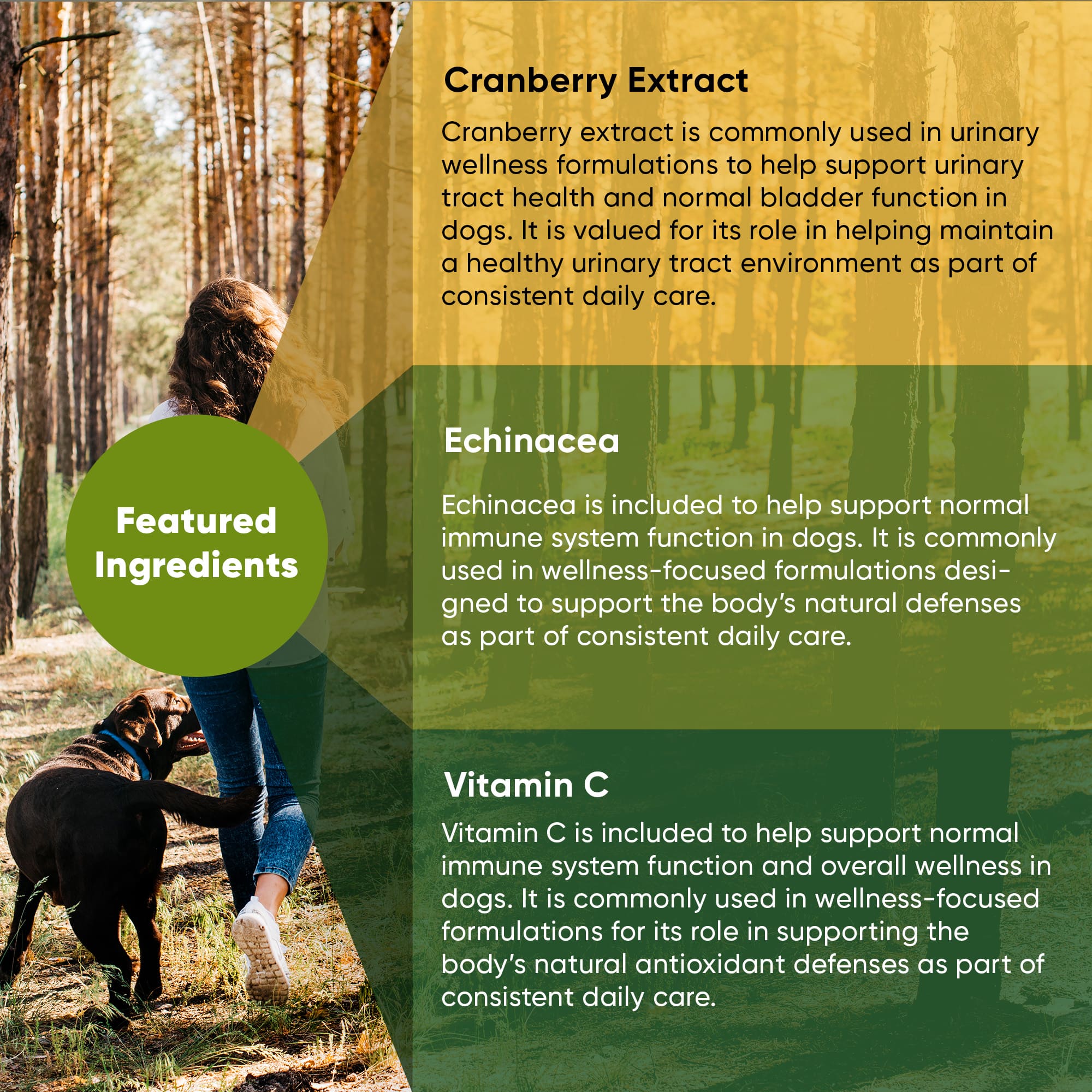 Rooted Owl® Urinary Support