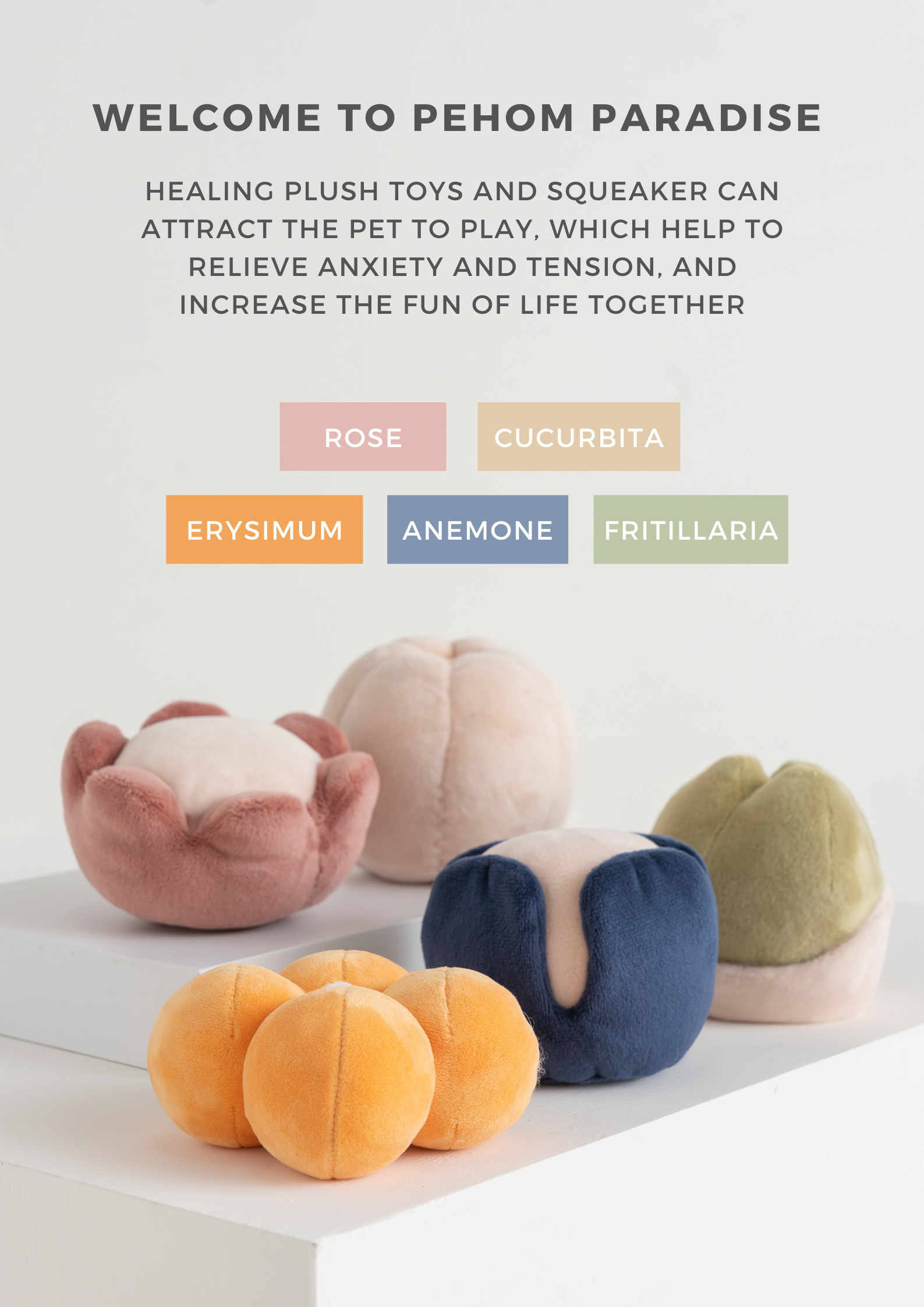 Pehom | Paradise Pet Toy - Anemone