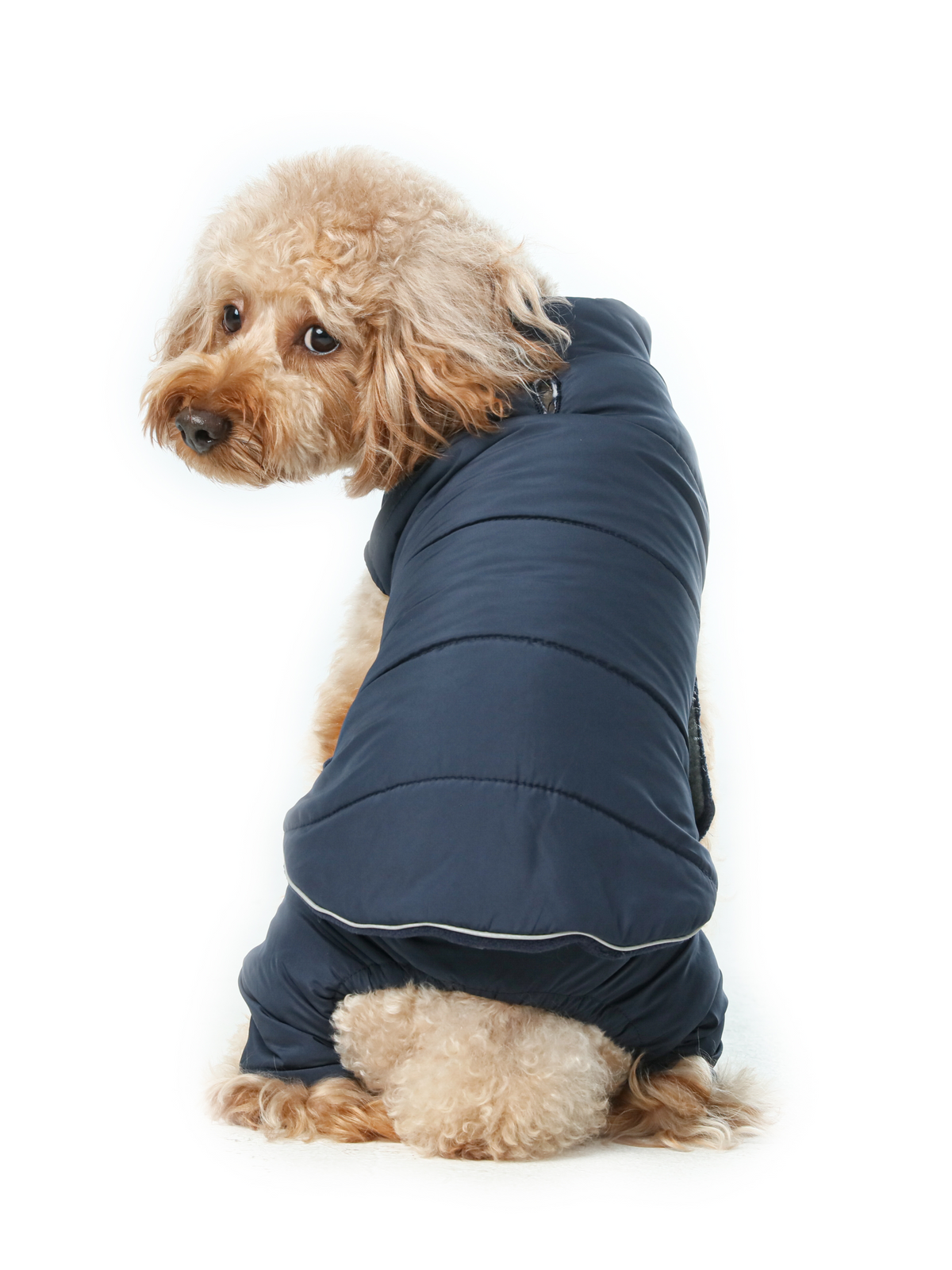 Pehom | Reversible Dog Vest Jacket - Blue