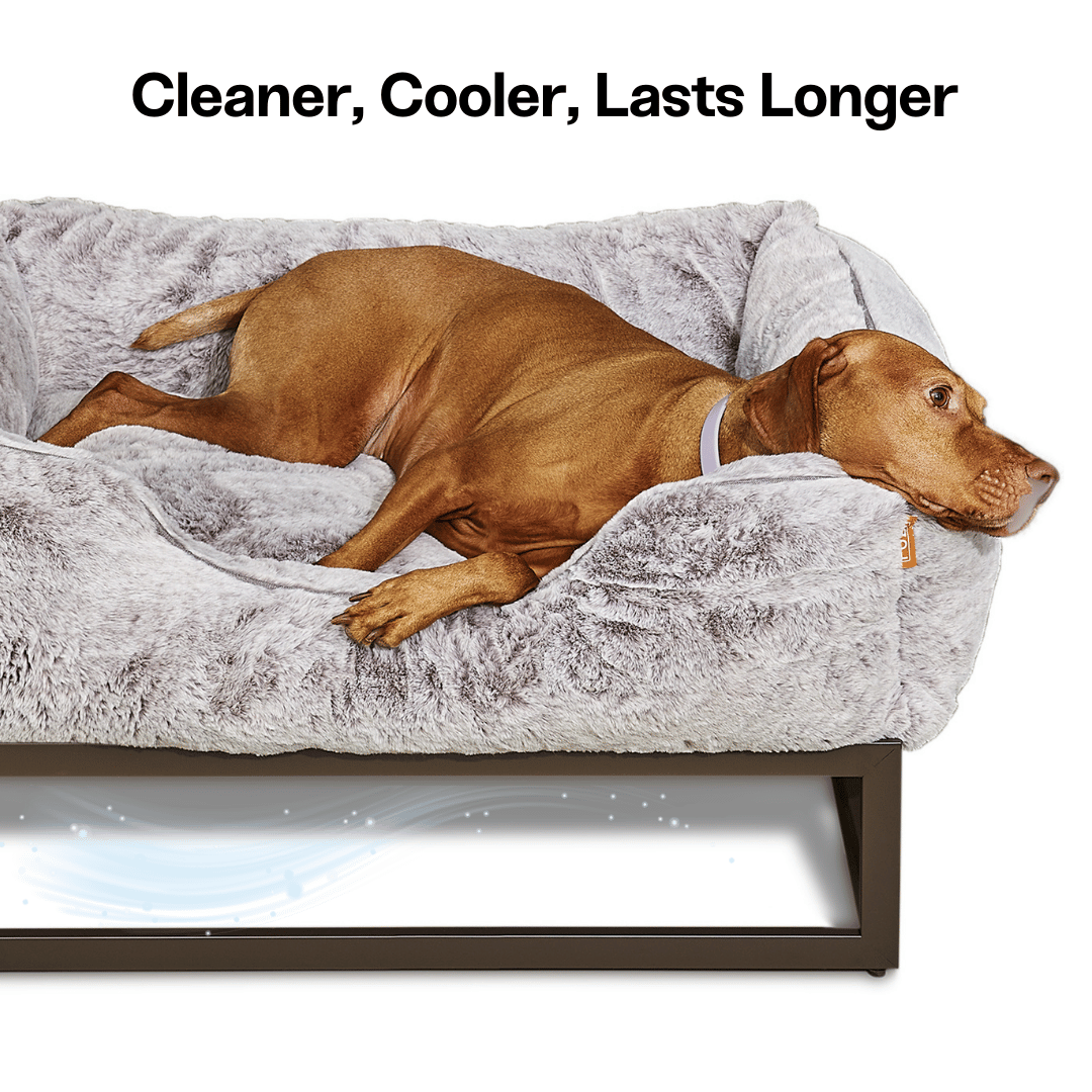 The FÜZI Pet Bed
