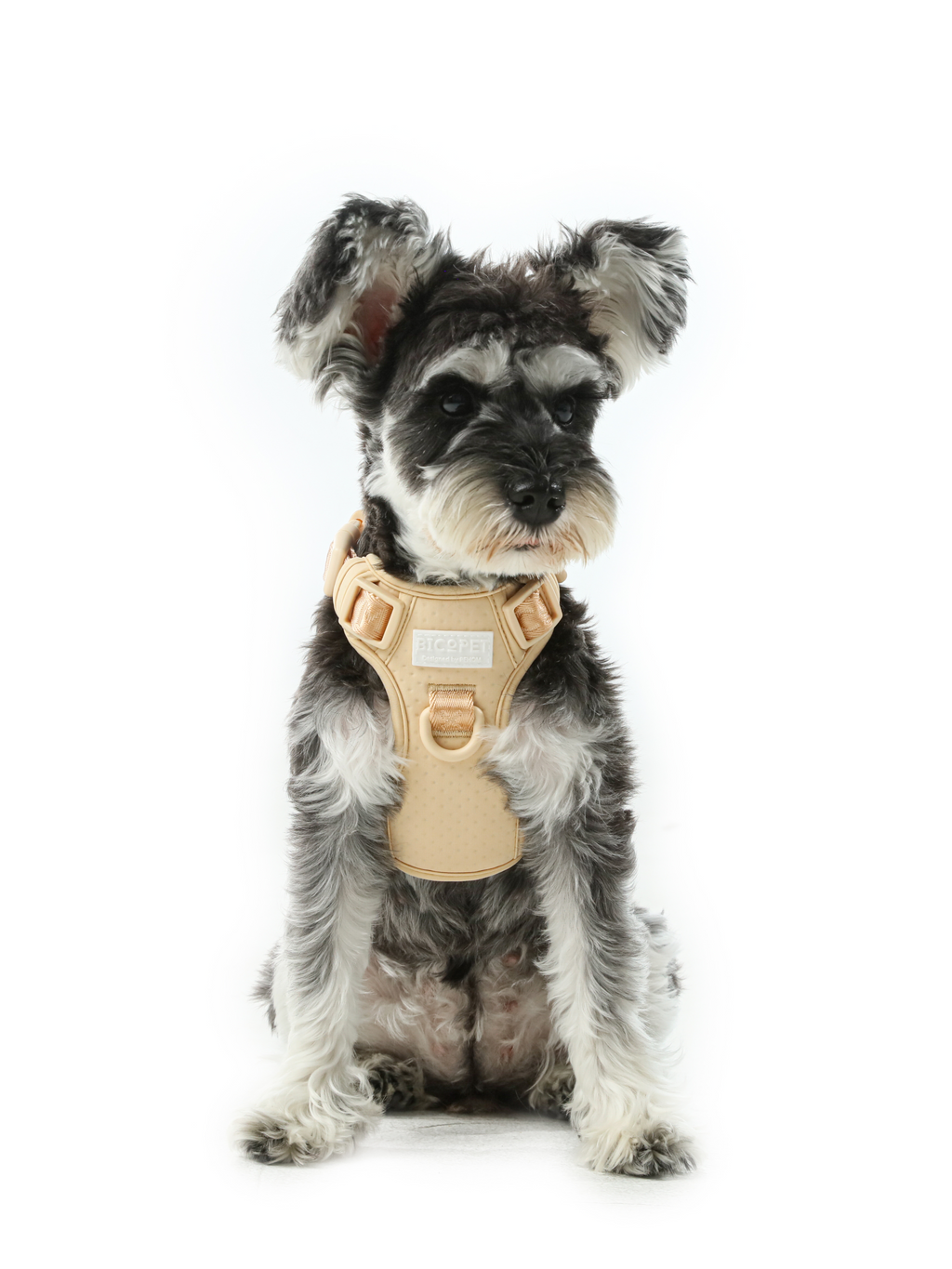 Pehom | No Pull Active Pet Harness - Apricot