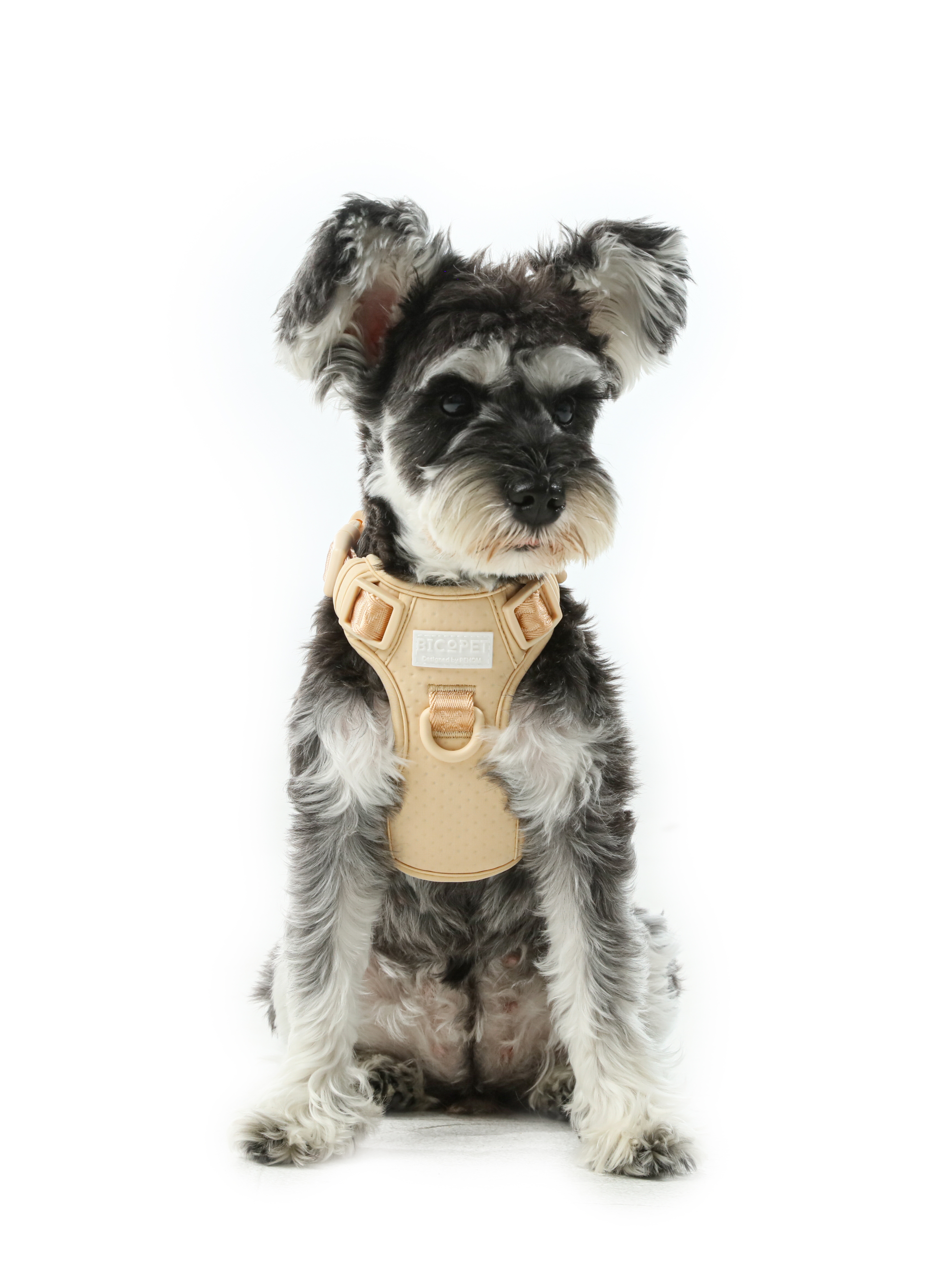 Pehom | No Pull Active Pet Harness - Apricot