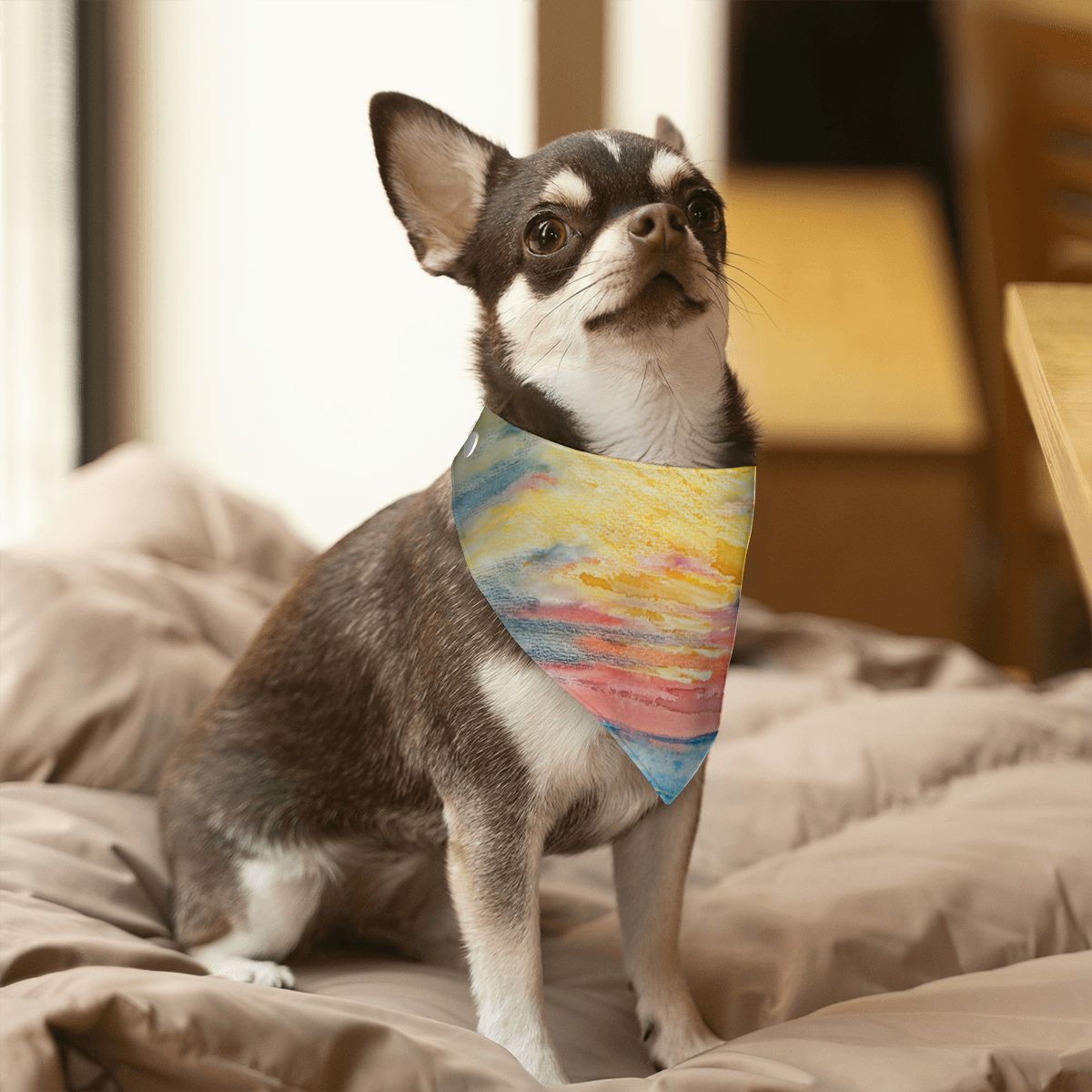 Sebastian & Clementine Sunset, Acapulco Pet Cotton Bandana