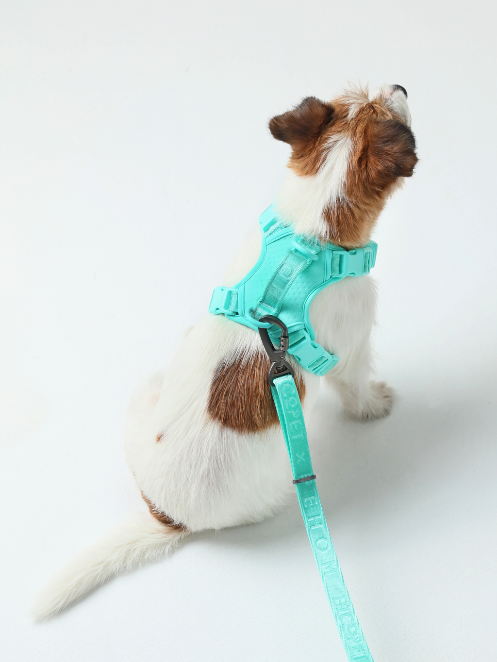 Pehom | No Pull Active Pet Harness - Mint Green