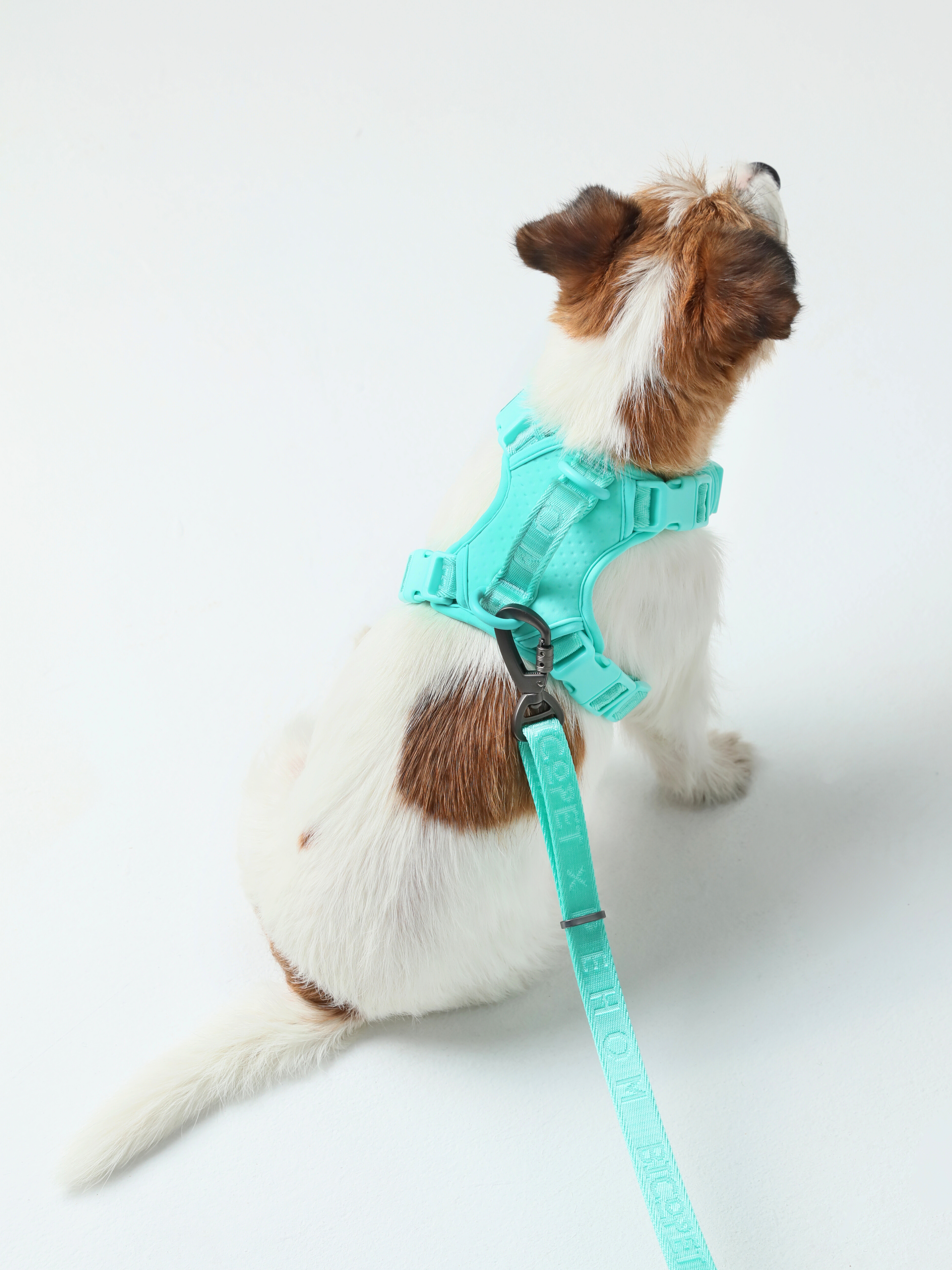 Pehom | No Pull Active Pet Harness - Mint Green