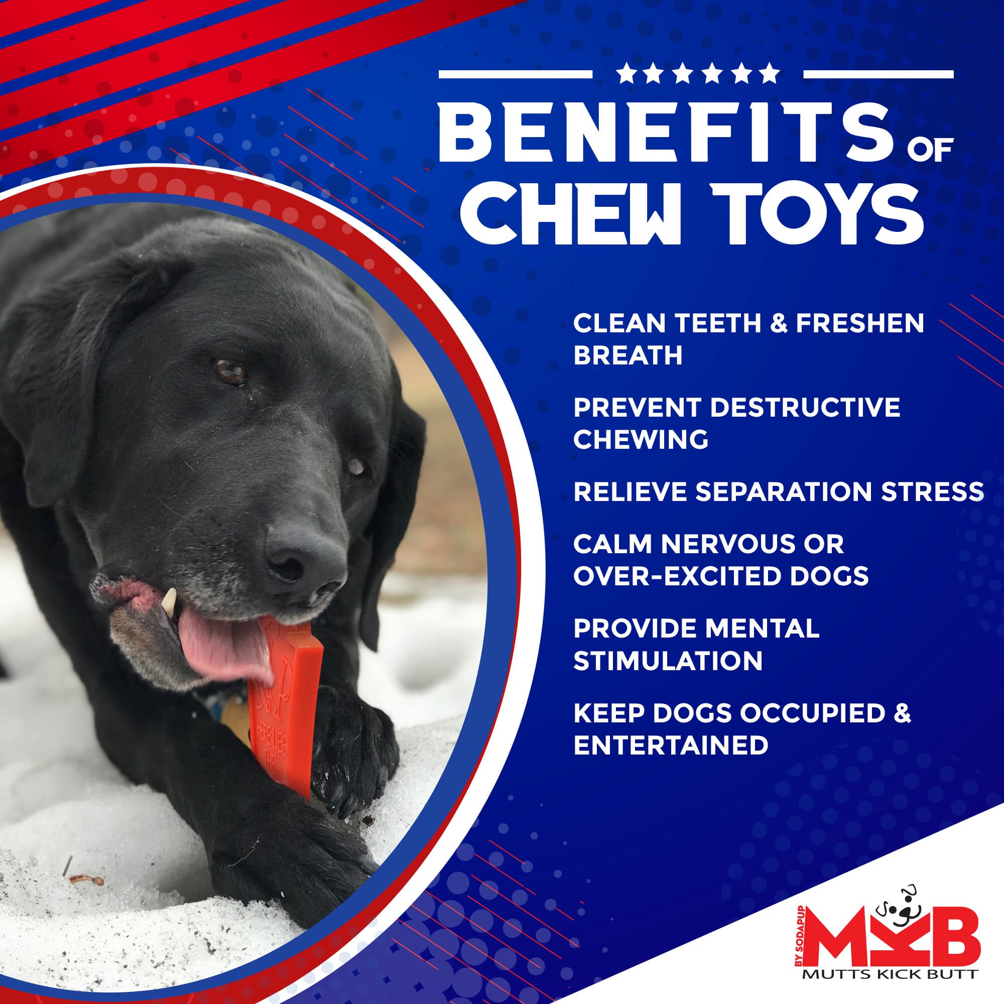 SodaPup® Headstone Ultra Durable Nylon Dog Chew Toy