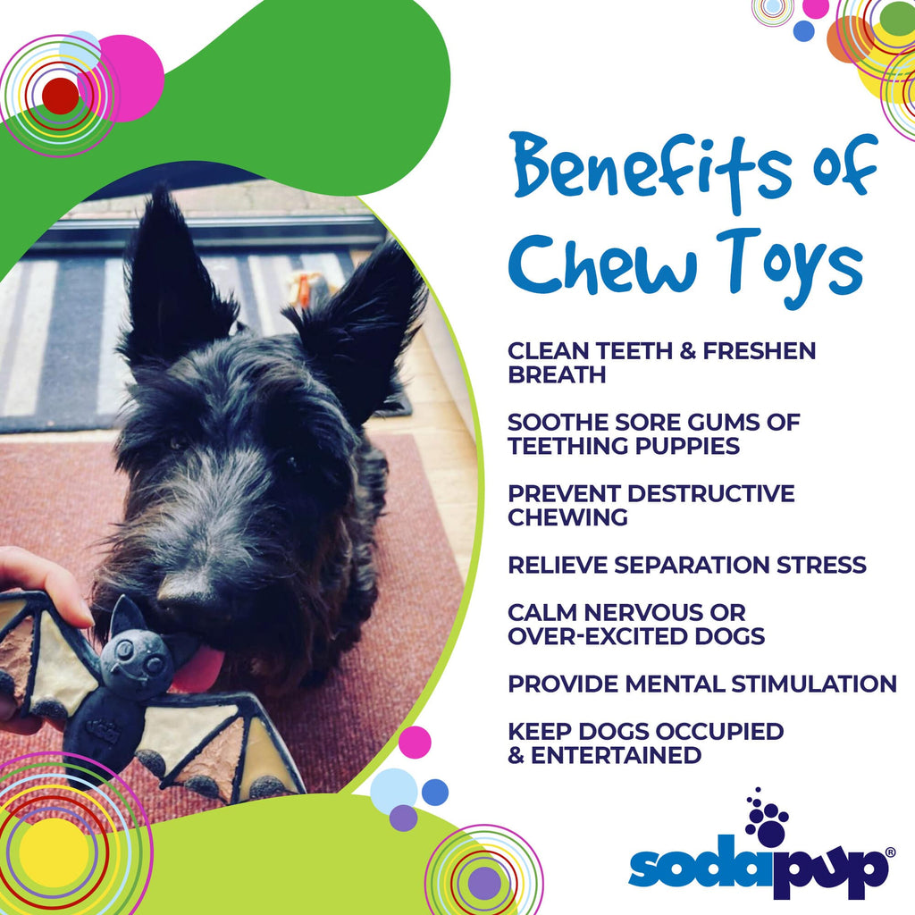 SodaPup® Vampire Bat Nylon Dog Chew Toy for Aggressive Chewers | USA Made & FDA Compliant