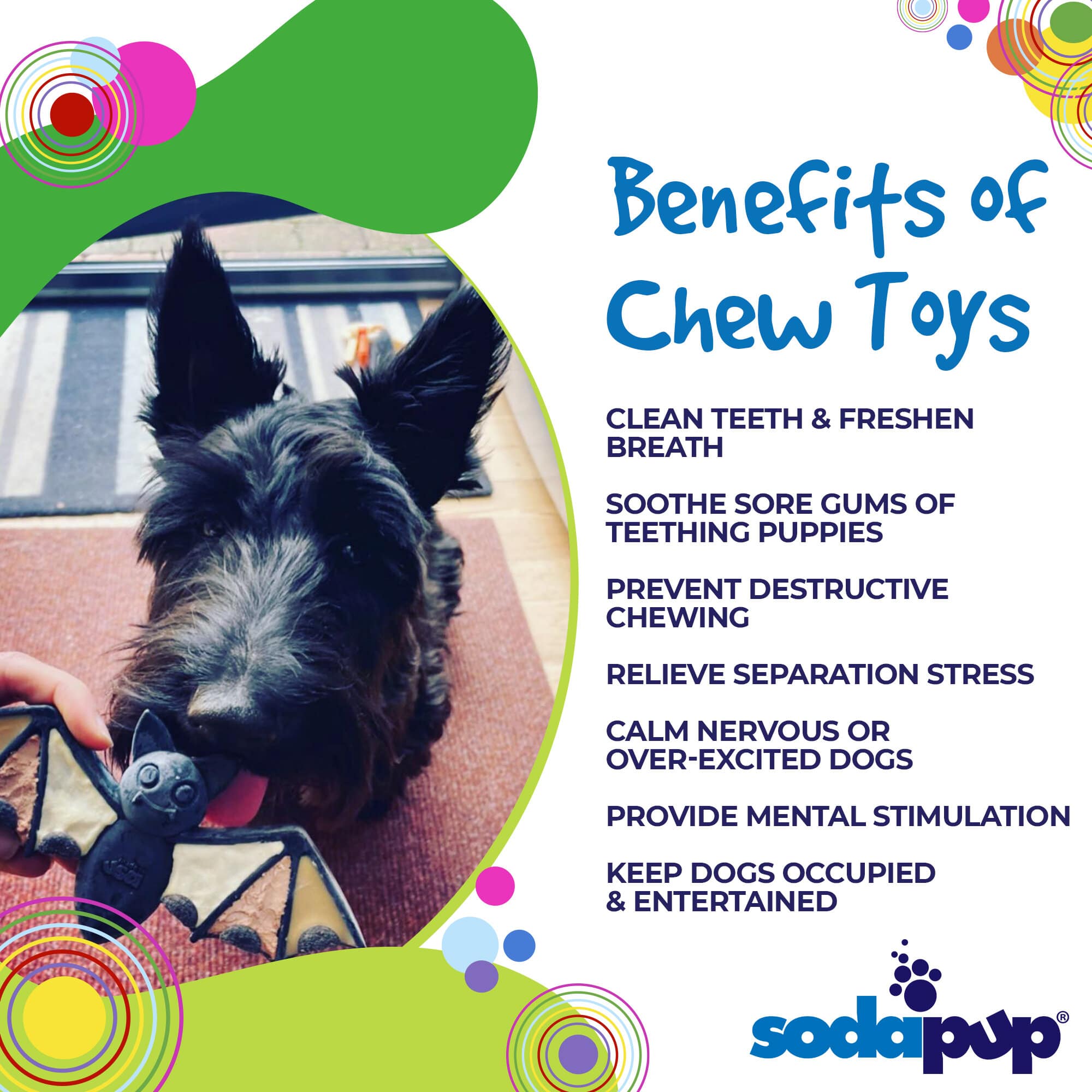 SodaPup® Vampire Bat Nylon Dog Chew Toy for Aggressive Chewers | USA Made & FDA Compliant